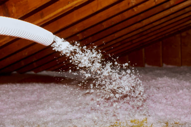 Best Residential Insulation in Highland City, FL