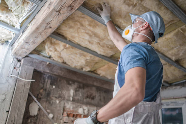 Best Insulation Maintenance and Repair in Highland City, FL