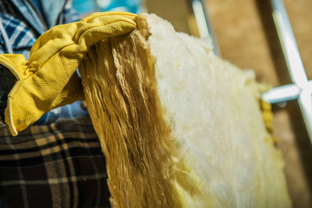 Best Insulation Installation Services in Highland City, FL